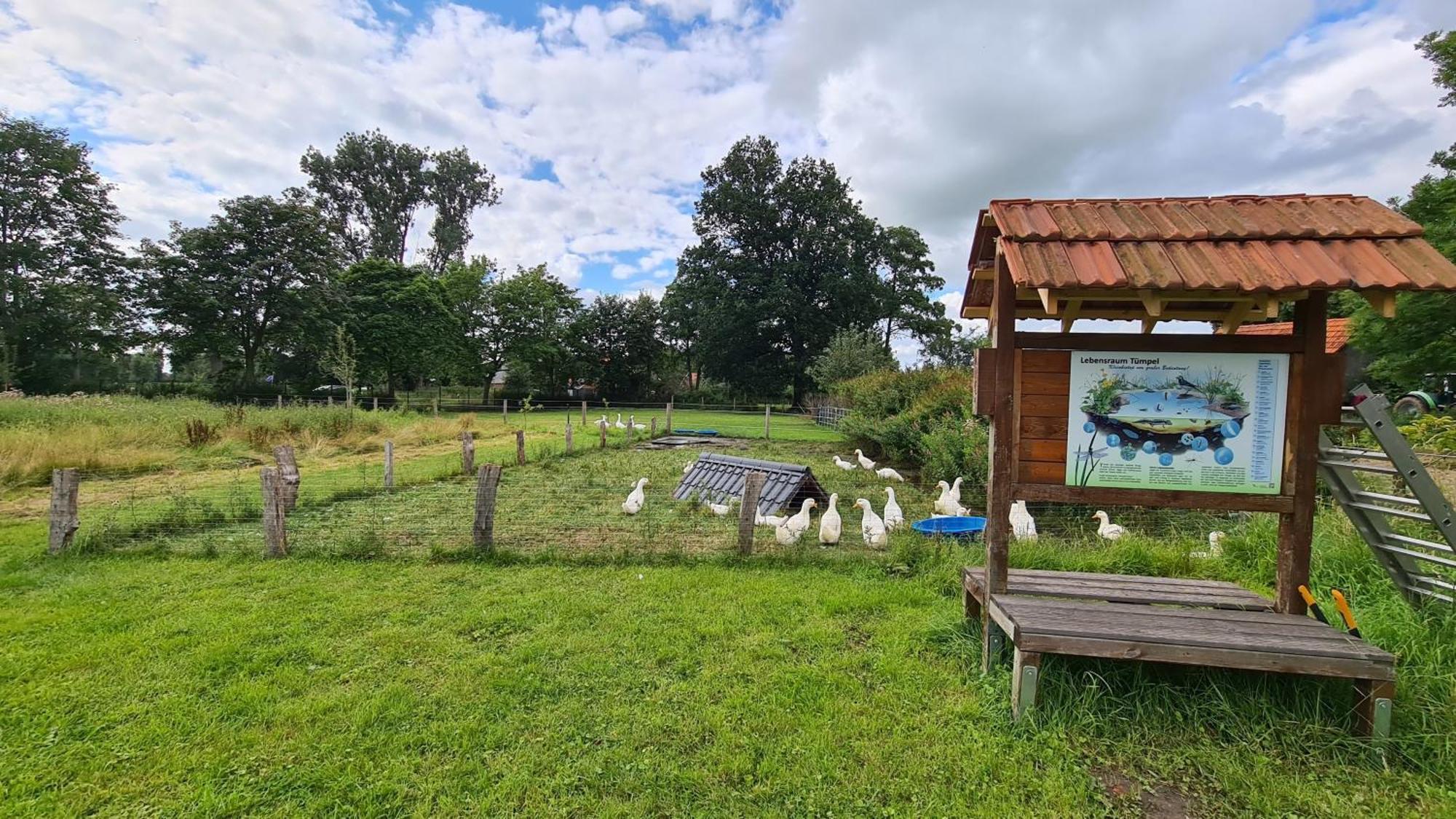 Naturhof Buschwiesen - Wohnung Lama Wilsum Extérieur photo